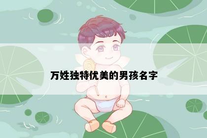 万姓独特优美的男孩名字